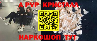 мет Кингисепп
