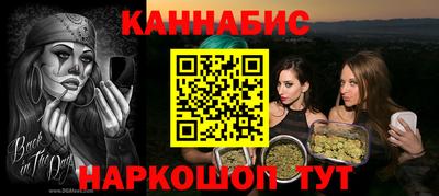 мет Кингисепп