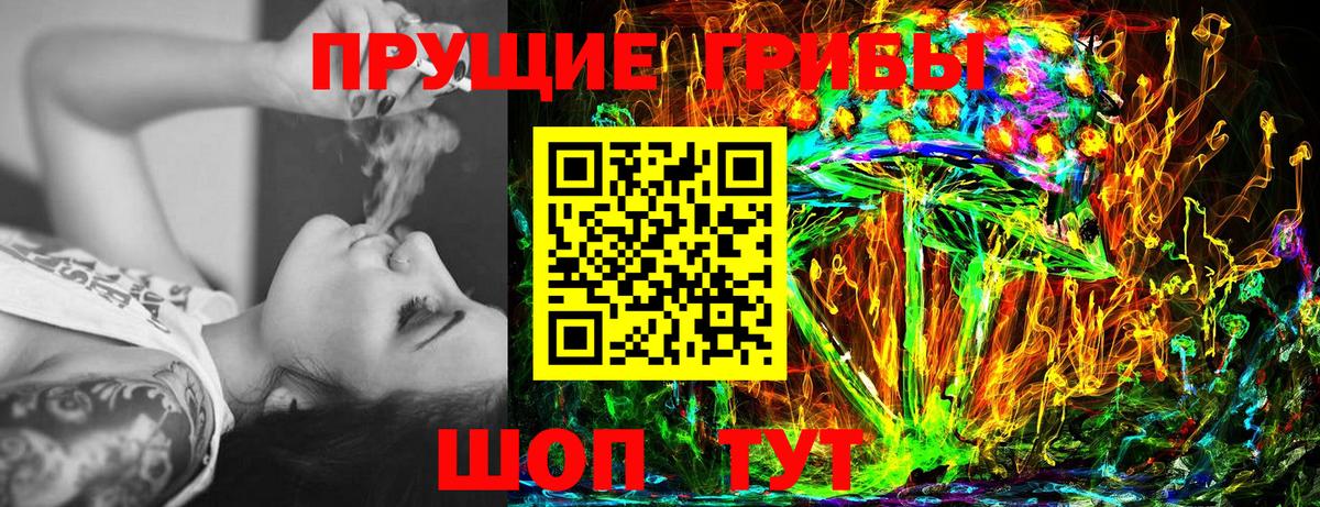 Галлюциногенные грибы MAGIC MUSHROOMS  Вход с VPN  Киреевск 