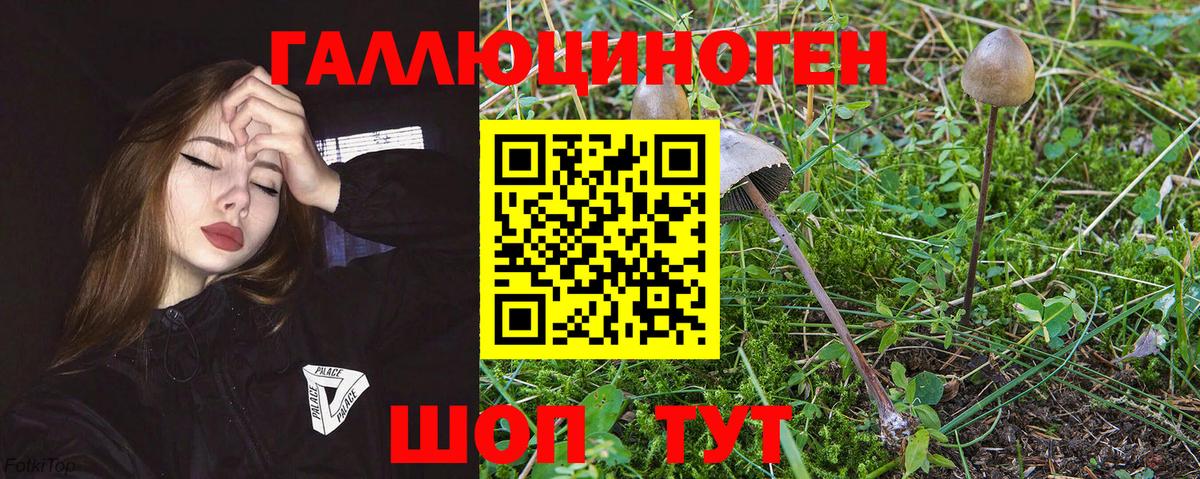 Псилоцибиновые грибы мицелий Киреевск